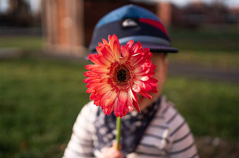 Kind mit roter Blume vor grüner Wiese im Sonnenschein. Farben lernen mit ASS Altenburger.
