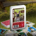 Das Top ASS Hunde Trumpfspiel steht auf einer Wiese, unter dem Spiel liegen einige der dazugehörigen Spielkarten. Im Hintergrund steht ein Zaun der eine anschließende Weide abgrenzt.