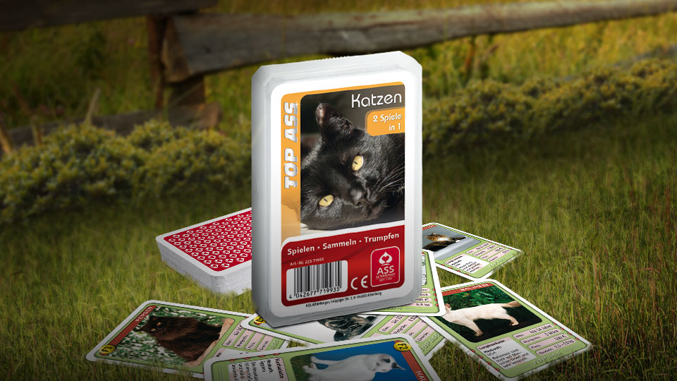 Das Top ASS Katzen Trumpfspiel steht auf einer Wiese, unter dem Spiel liegen einige der dazugehörigen Spielkarten. Im Hintergrund steht ein Zaun der eine anschließende Weide abgrenzt.